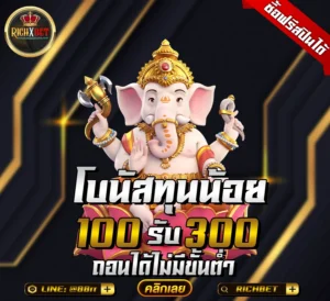 ฝาก100รับ300